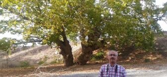 7 ASIRLIK ANIT AĞAÇTA ÇEVRE DÜZENLEMESİ VE KİTABE DE TAMAM
