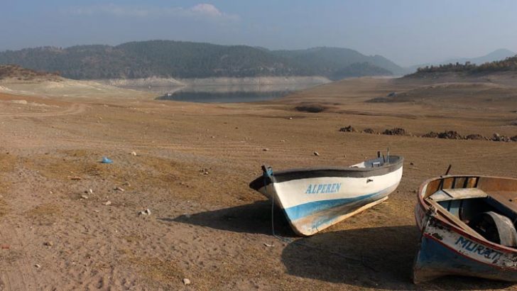 BARAJ İÇİN YAĞMUR DUASI, KURBAN KESİMİ