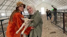 BALIKESİR KUZUSU’NDA SINDIRGI MARKA DEĞER OLACAK