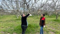 İlçe Tarımdan kontroller