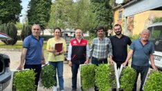 Üreticiye hibe fide desteği
