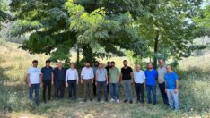 Cüneyt Vadisi Mesire Alanı Olacak