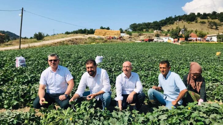 Sındırgı Kornişonu tescillendi