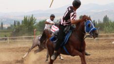 Atlı Cirit’in kazananı TMO