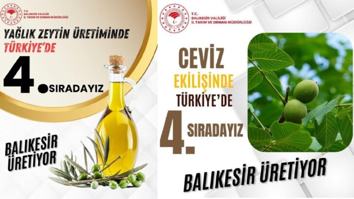 Ceviz ve Zeytincilikte 4. Sırada