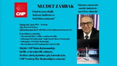 CHP’nin 2. Adayı Zambak
