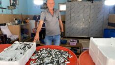 Balık Sezonu Açıldı