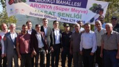 Aronya Hasadı Yapıldı