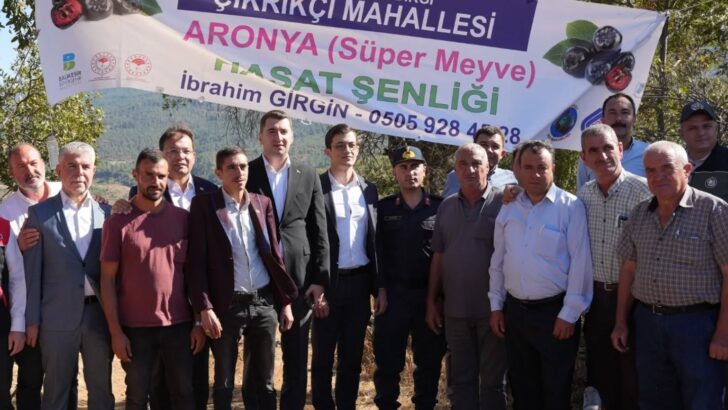 Aronya Hasadı Yapıldı