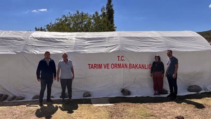 Deprem Sonrası Çalışmalar