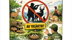 Av Yasağı Başladı
