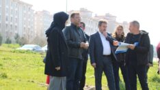 Yeşil Alan ve Park Düzenleme Çalışmaları