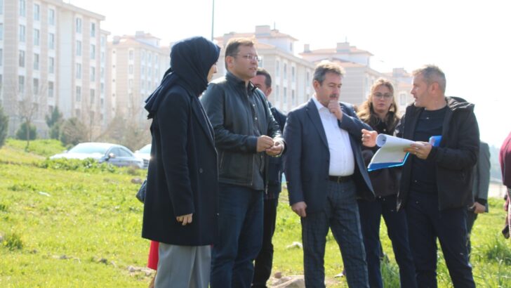 Yeşil Alan ve Park Düzenleme Çalışmaları