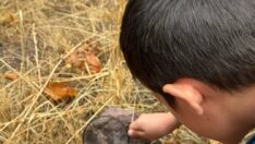 Minik Öğrencilerden Yıl Sonu Etkinliği