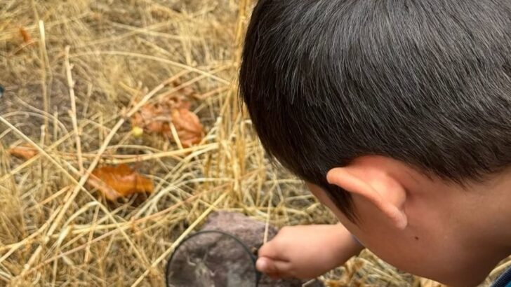 Minik Öğrencilerden Yıl Sonu Etkinliği